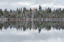 Lonely little orange tree by Leon Brouwer