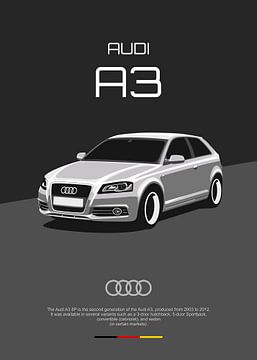 Audi A3 8P sur Kaminarirace