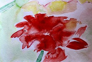 Feuerblume 