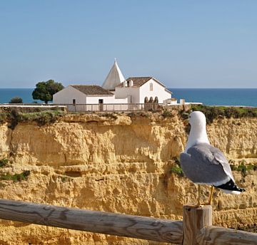 Senhora da Rocha Chapel and Moewe by insideportugal