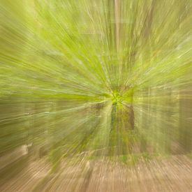 Abstract bos - radiale beweging van Anita van Hengel