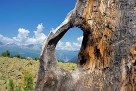 Bergpanorama in den Alpen von Toni Stauche