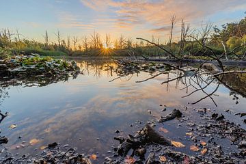 Sunrise at swamp De Zeezuiper in Bergen op Zoom by Rick van Geel