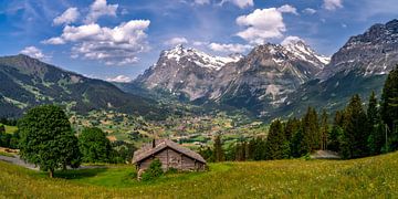 Grindelwald in het Berner Oberland in Zwitserland van Achim Thomae