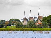 Drie molens van Stompwijk vanuit de Nieuwe Driemanspolder van Rob IJsselstein thumbnail