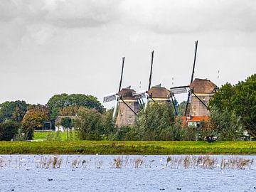 Three mills of Stompwijk from the New Driemanspolder