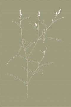 Boho-Botanische Blume auf Salbeigrün Nr. 5 von Dina Dankers