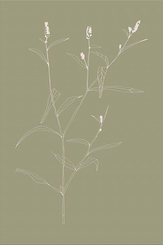 Boho botanische bloem op saliegroen nr. 5