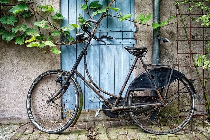 Stilleben mit Fahrrad. von Tilly Meijer
