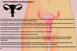 Organes génitaux féminins 16394.10