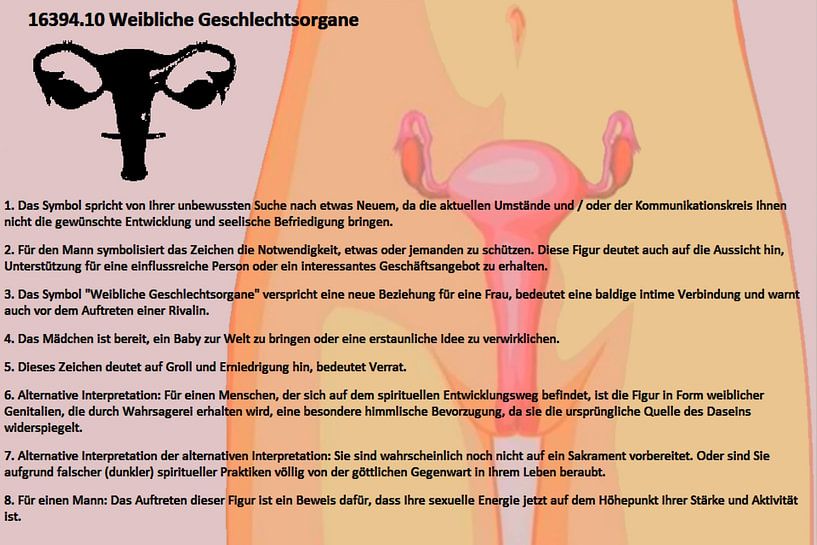 Organes génitaux féminins 16394.10 par Vladimir Zykunov