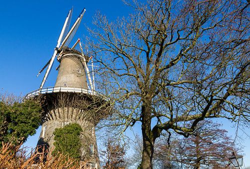 Mill in Leiden - urban photography