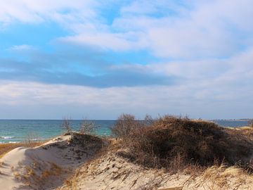 Duinlandschap in de winter op Wolfe Island, Ontario, Canada van Monrey