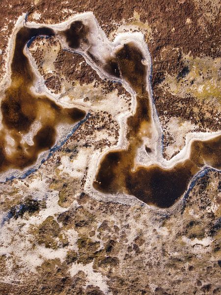 Schoorl Dunes from the air by Nico van Maaswaal