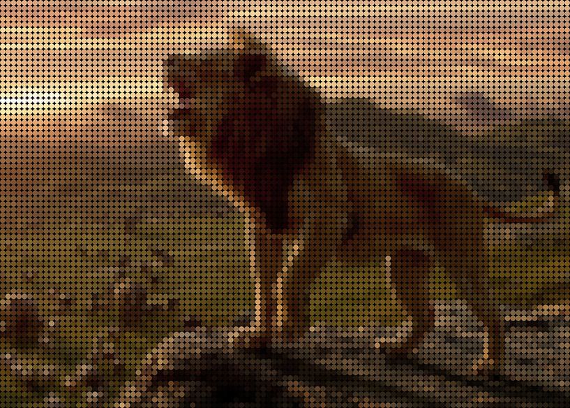 The Lion King by Gunawan RB