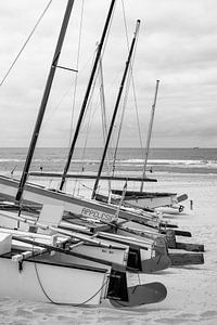 Katamarane an der Küste. Noordwijk. 2