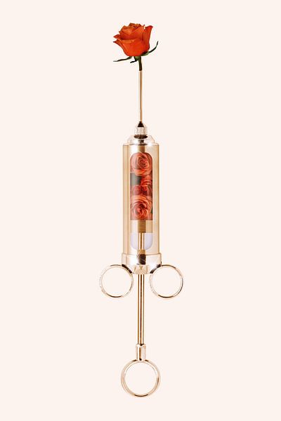 Love Injection by Jonas Loose