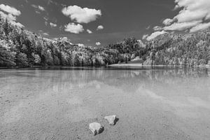Alatsee