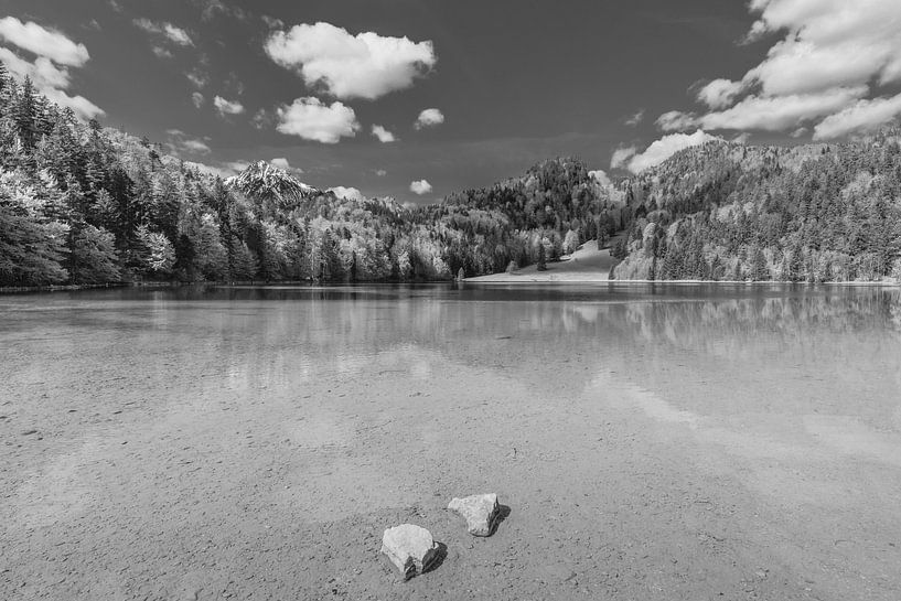 Alatsee by Walter G. Allgöwer