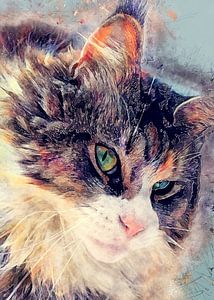 Aquarelle représentant un chat #cat #kitten sur JBJart Justyna Jaszke