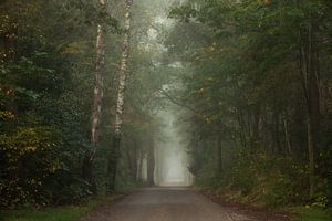 Chemin de mémoire