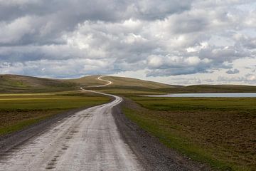 De weg waarheen in IJsland Highlands van Annemarie Mastenbroek