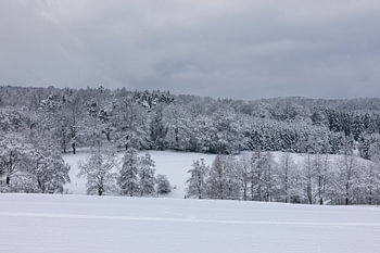 Het Rijnland kan ook een winterdroom zijn