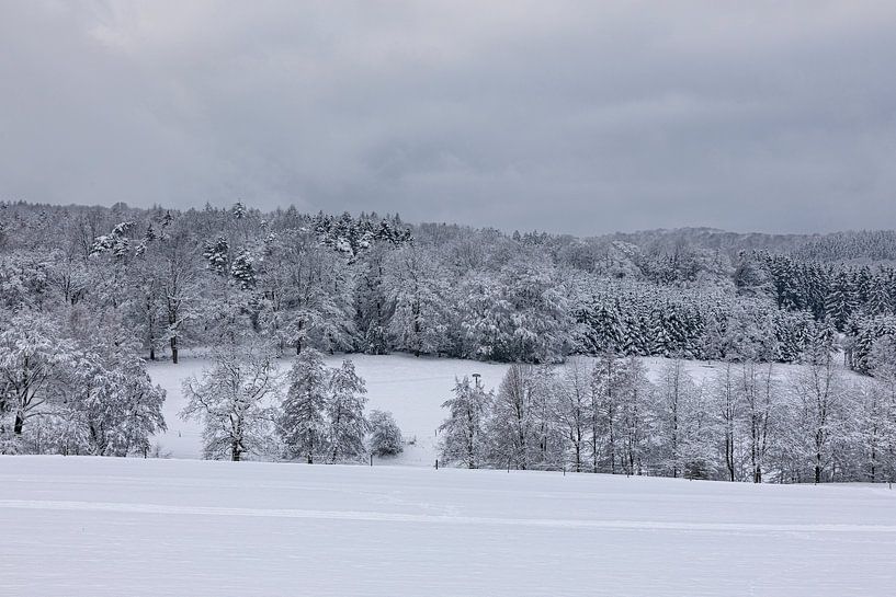 Das Rheinland kann auch ein Wintertraum werden von Harald Schottner