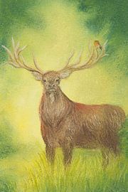 Deer in the forest by Jente Bergman