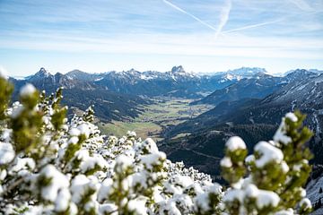 View of the Tannheim Mountains and the Zugspitze by Leo Schindzielorz