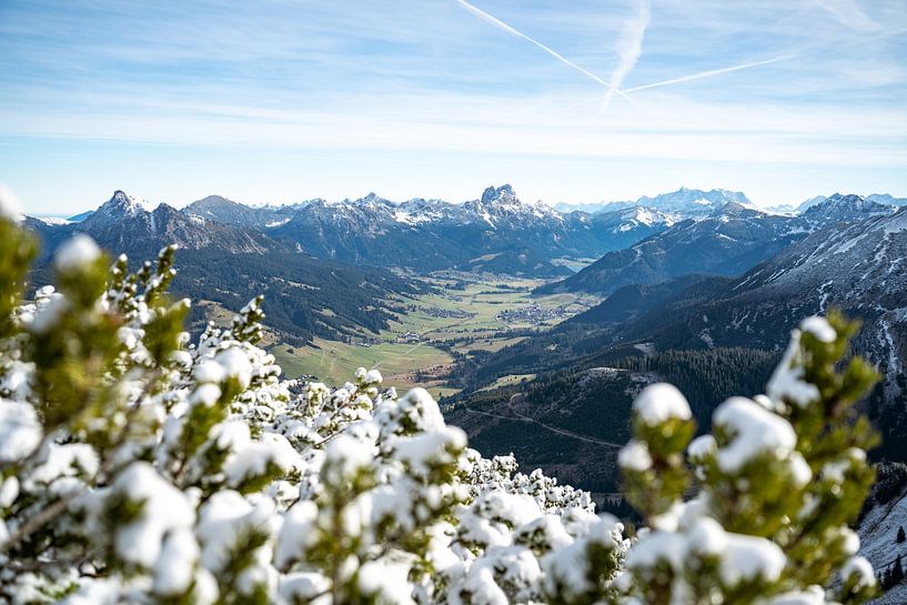 View of the Tannheim Mountains and the Zugspitze by Leo Schindzielorz