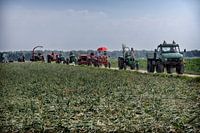 Erntetanzfest