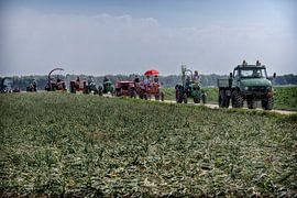 harvest dance festival by Bas Quaedvlieg