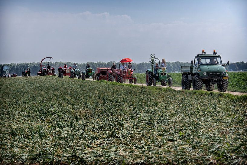 Erntetanzfest von Bas Quaedvlieg