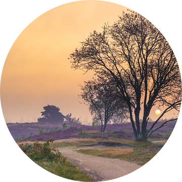 Zonsopgang boven een heidelandschap