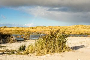 Landschaft in den Dünen auf der Insel Amrum
