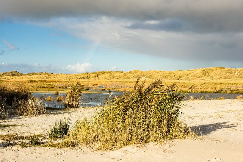 Landschaft in den Dünen auf der Insel Amrum van Rico Ködder