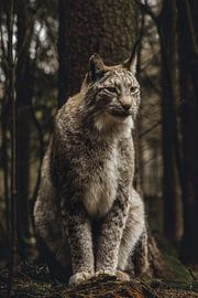 portrait de lynx sur Larsphotografie