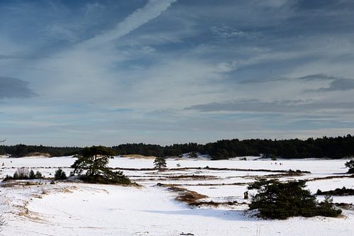Une large plaine de neige