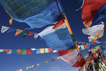 Flying prayer flags in Tibet