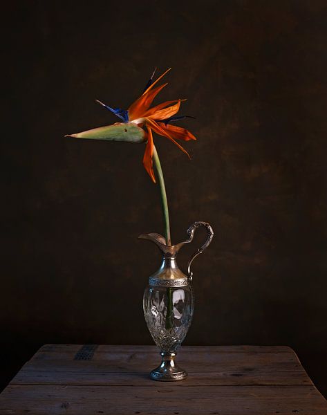 Paradijsvogel bloem van Anouschka Hendriks