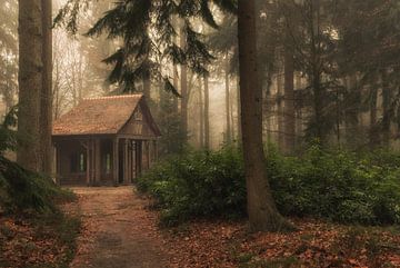 Magisch huisje in het sprookjesbos