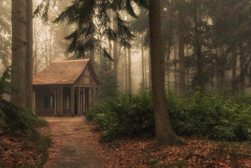 Magical cottage in the fairytale forest by Moetwil en van Dijk - Fotografie