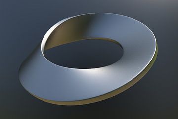 Mobius ring van Chrisjan Peterse