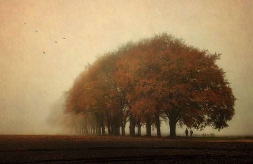  Not all who wander are lost...