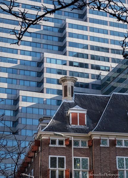 Old and new  by Karin van Bylevelt