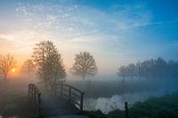 A new day , new opportunities