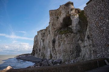 the chalk cliffs of etretat