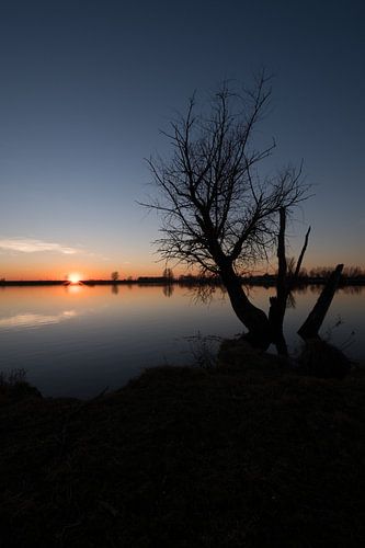 Zonsondergang met boom en meertje