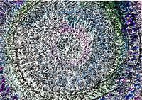 Arcturian love commitment